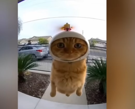 10 סרטונים מטורפים שנוצרו עם AI